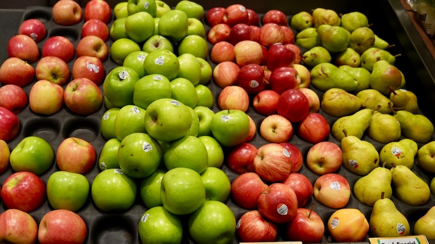 Apple growers fear economic and biosecurity wipeout as US eyes market