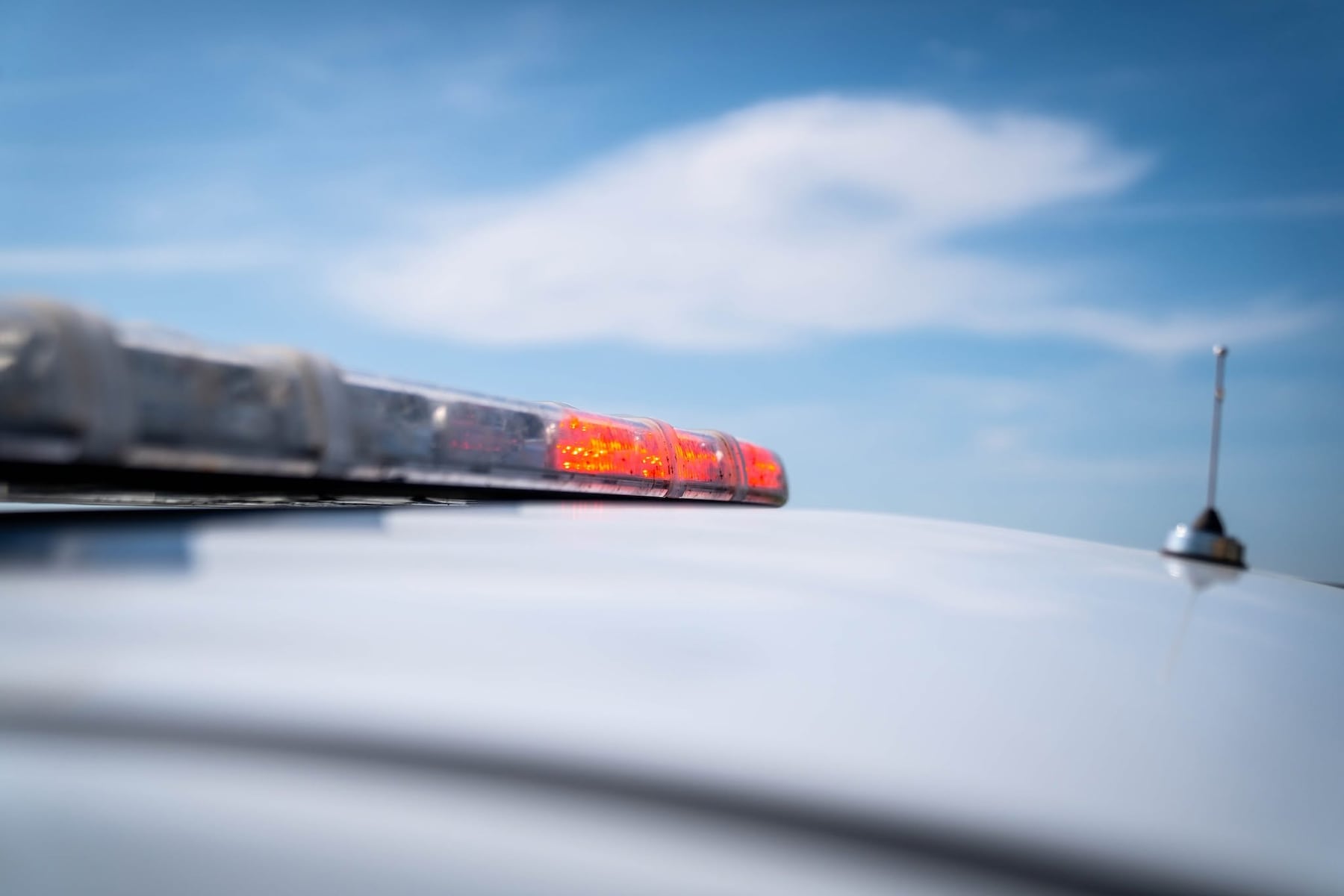 Warning issued after man, 21, is killed by mystery animal