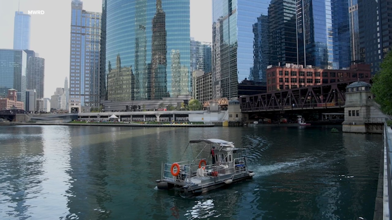 How officials ensure Chicago River is clean enough to swim in