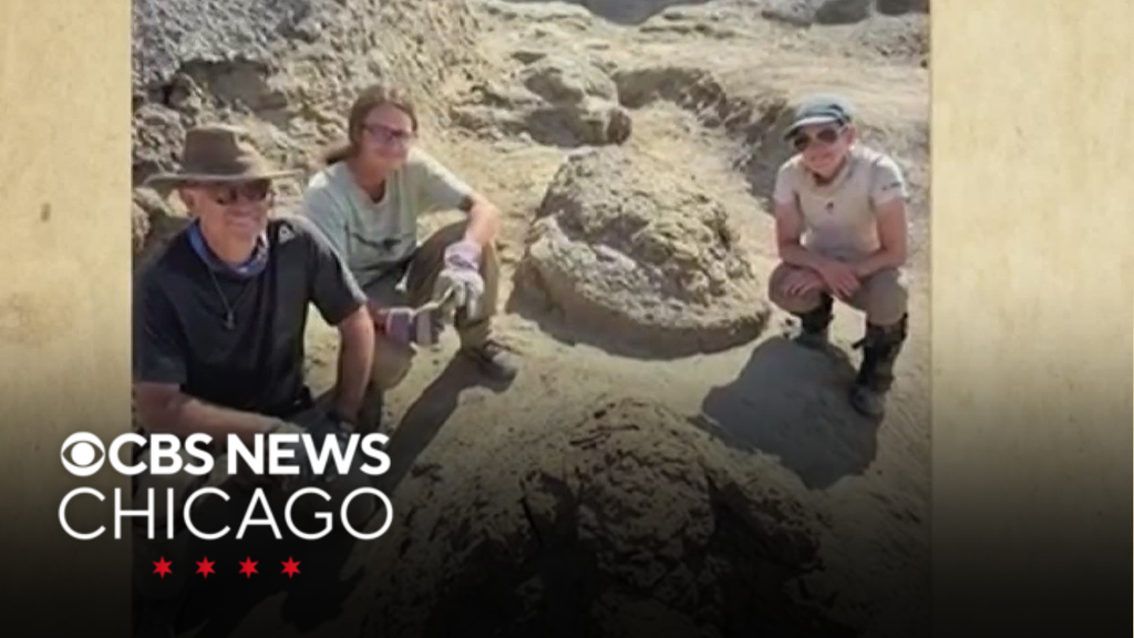 Photos released of first-ever trackway from adult T-Rex found in North Dakota