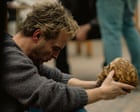 Elsinore review – Andrew Scott is astonishing as Ian Charleson in devastating Aids drama