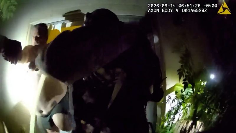 Lutz man arrested after 1K+ files of child sexual abuse material found on device: HCSO