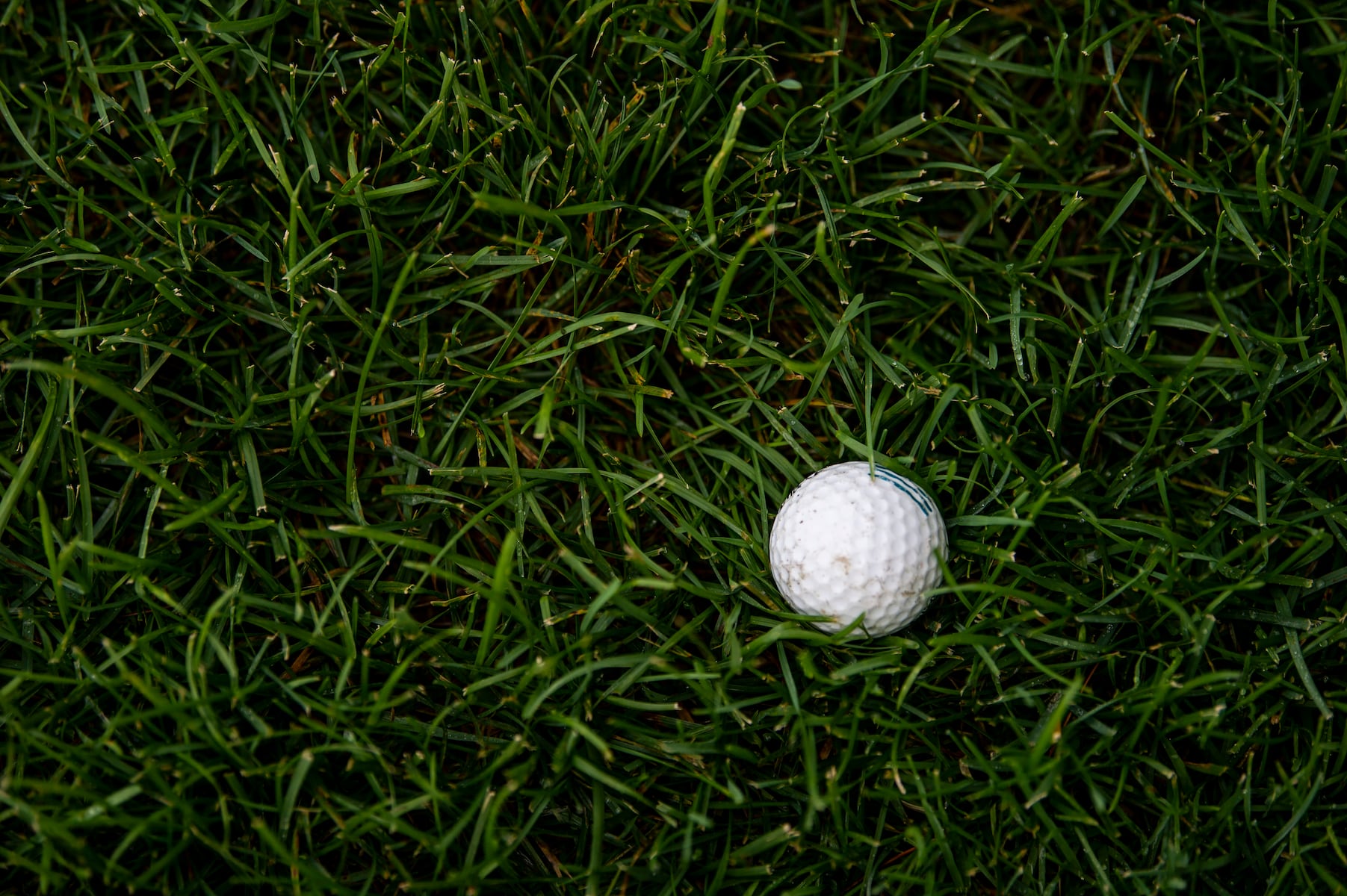 WMass Golf Roundup: McCann Tech narrowly defeats Westfield Tech