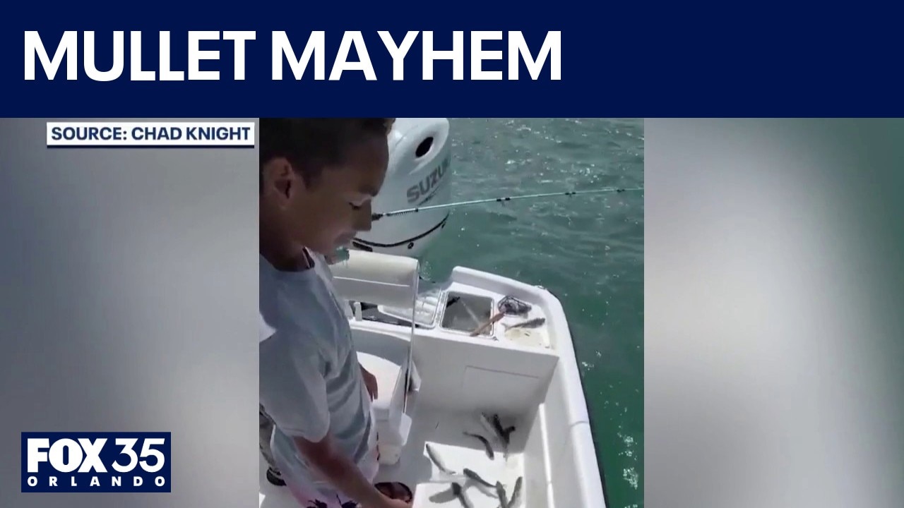 Annual mullet migration fuels fishing frenzy along Central Florida coast