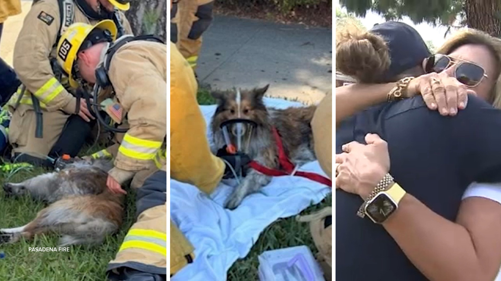 Dog reunited with heroic firefighters who rescued him from Pasadena house fire