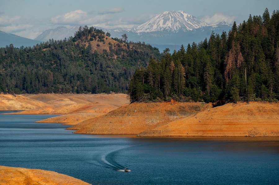 Dog survives jump into California lake; owner drowns trying to save it