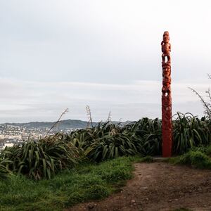 Mount Victoria armed attack: Woman wounded by two men while putting out rubbish