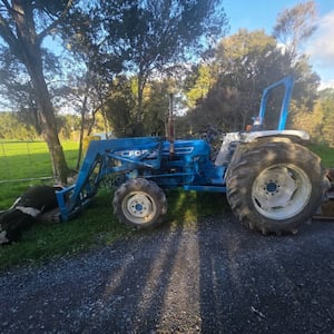 Northland bull death: Police, MPI investigate welfare concerns after animal strapped to pallet dies
