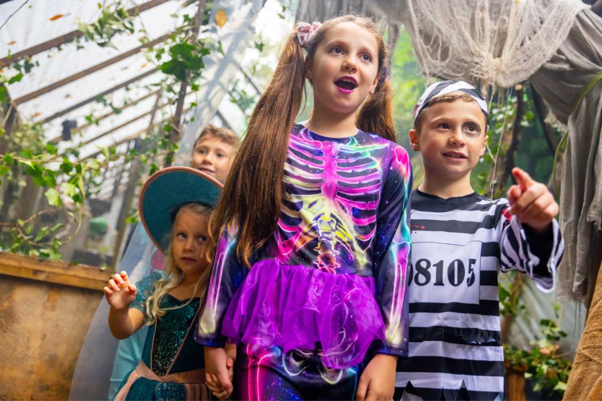 What’s on during October half-term 2026 – Halloween events, family days out and more