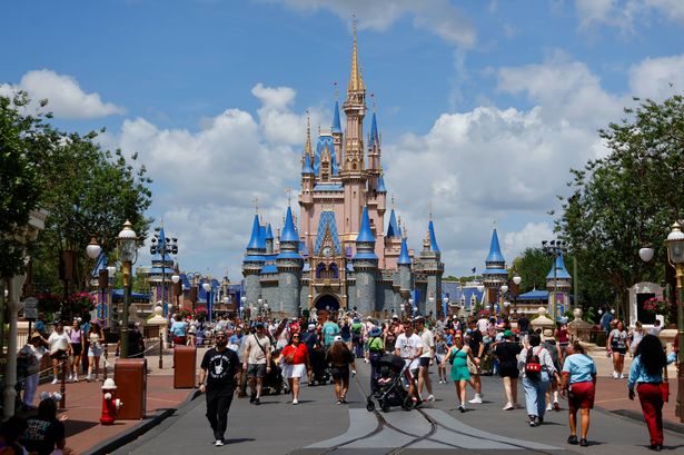 Man finds Disney World ticket from day park opened 55 years ago and price is staggering