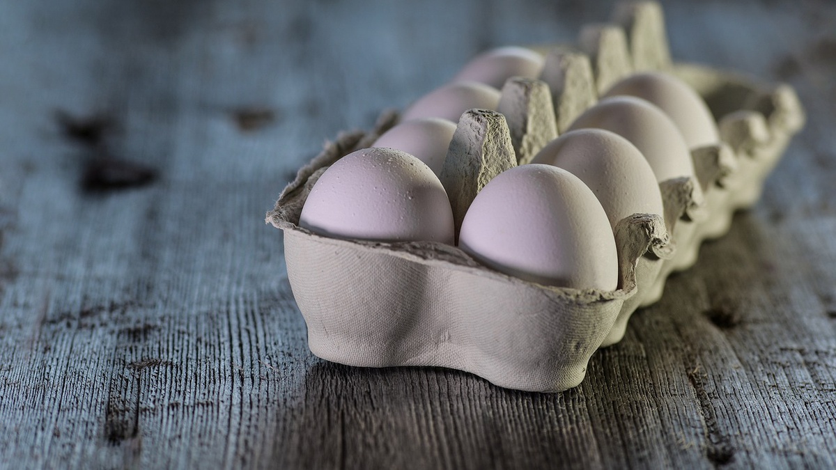 About 20% of industrial egg production lost at start of war – Poultry Union