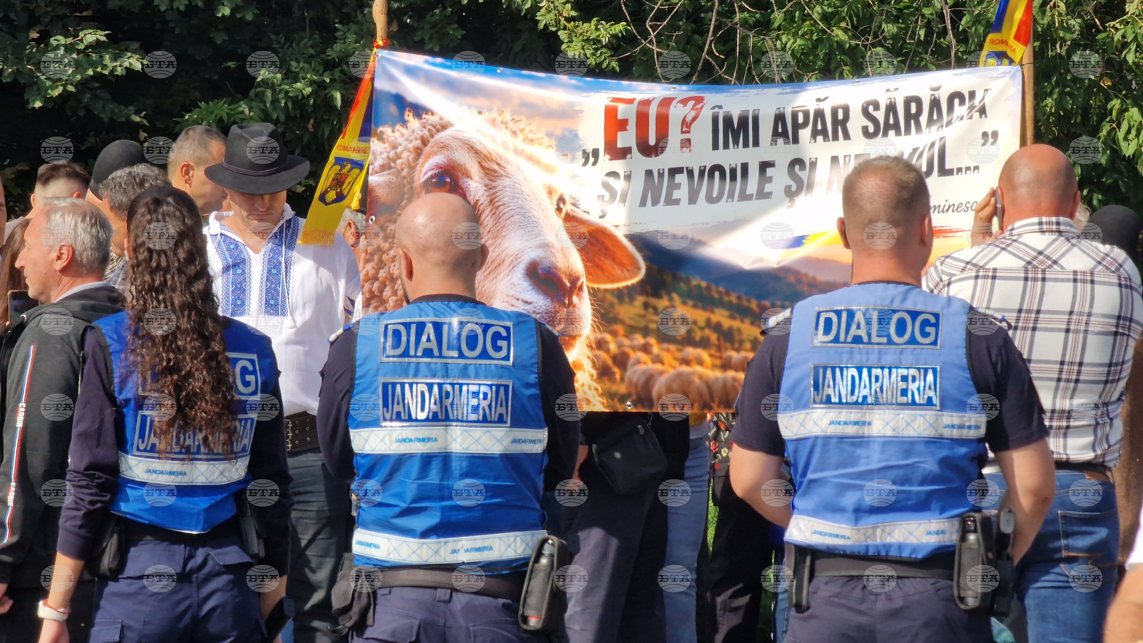 Sheep Farmers from Across Romania Protest in Bucharest, Clash with Gendarmerie