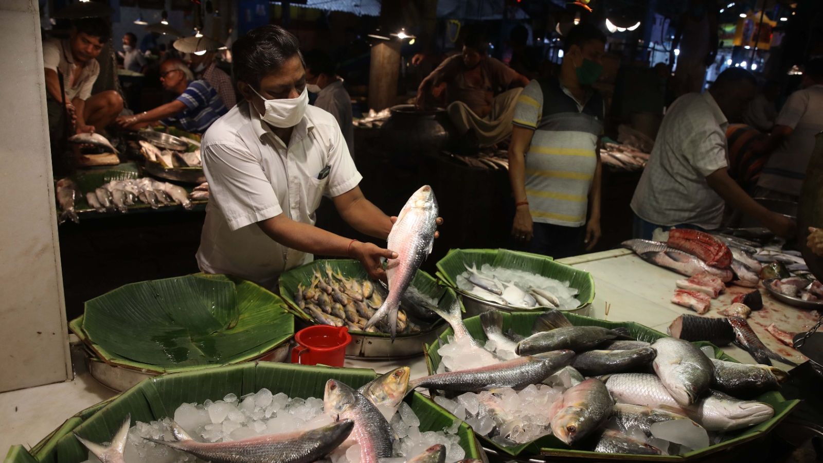 Big Hilsa twist: Sought-after fish changes direction, India now exporter