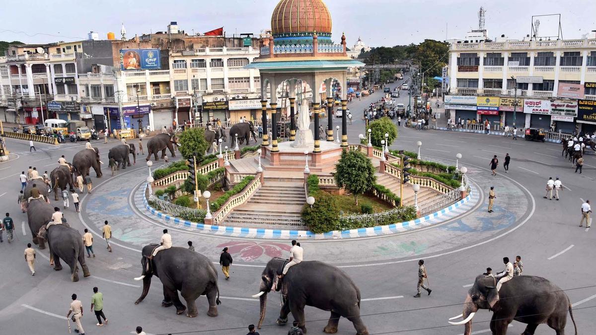 Sugreeva emerges heaviest among Dasara elephants