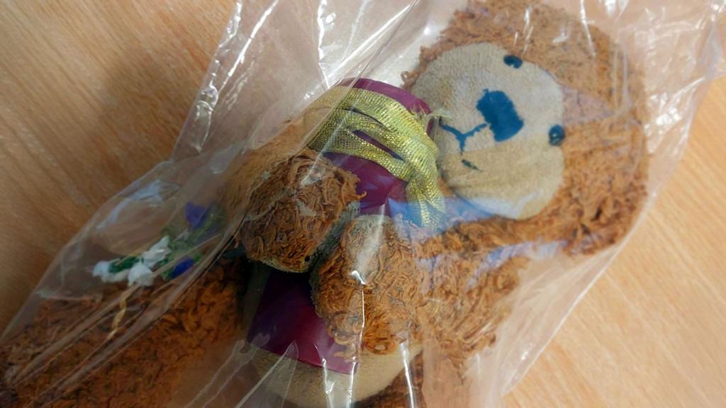 Woman to be reunited with 'much-loved' dog's ashes which lay in lost property for months