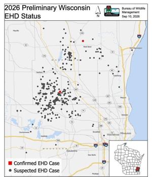 As toll likely surpasses 1,100 deer, EHD outbreak worst in Wisconsin history