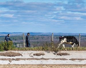 Wisconsin farm bankruptcies rise again after post-pandemic lull