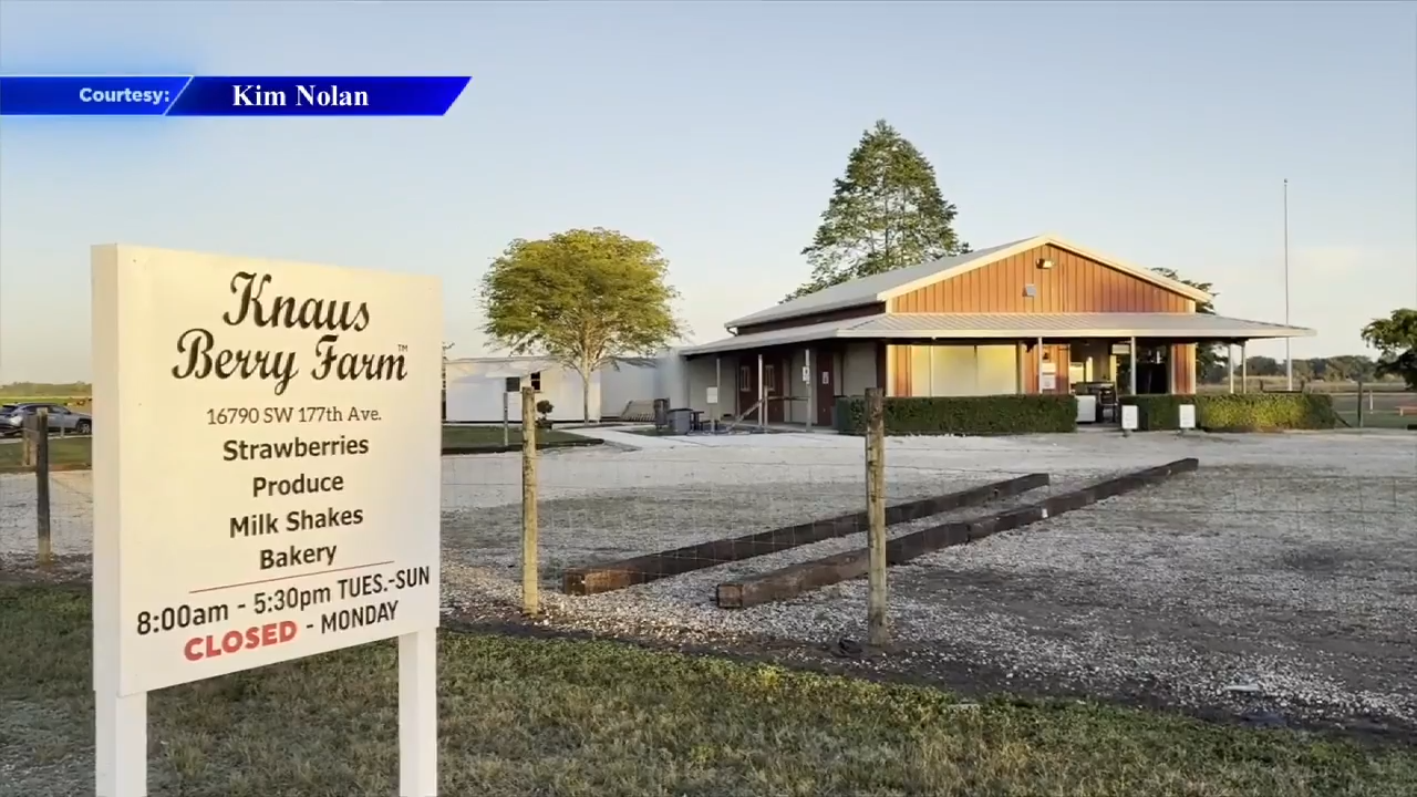 Sweet return for a South Florida favorite: Knaus Berry Farm to reopen in October