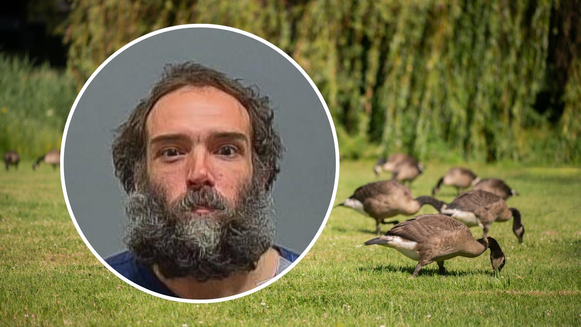 Man sentenced for throwing rocks at geese, threatening swimmers with knife in Oregon City