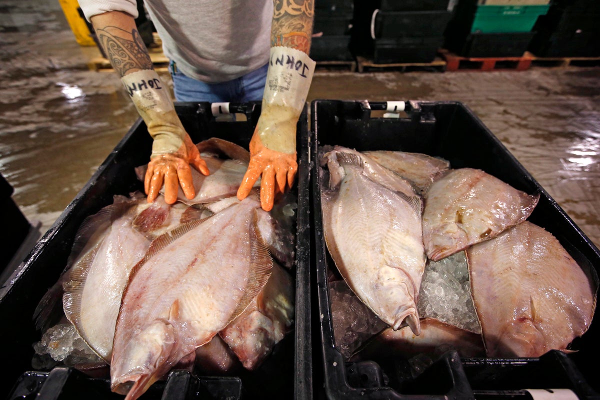 ‘Flat is Back’ campaign hopes to put flounder back on people’s plates
