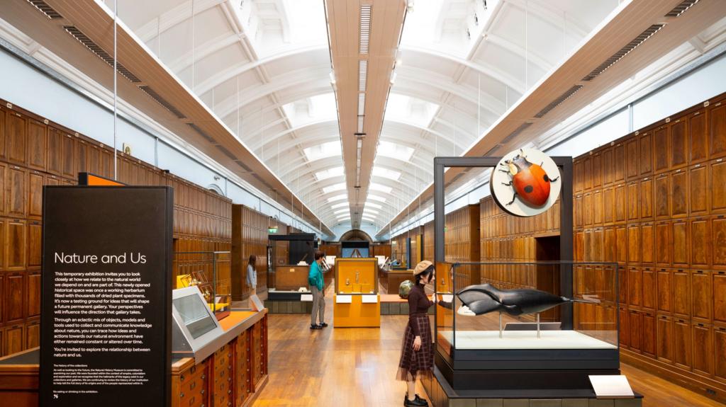 Natural History Museum opens gallery locked in 1943
