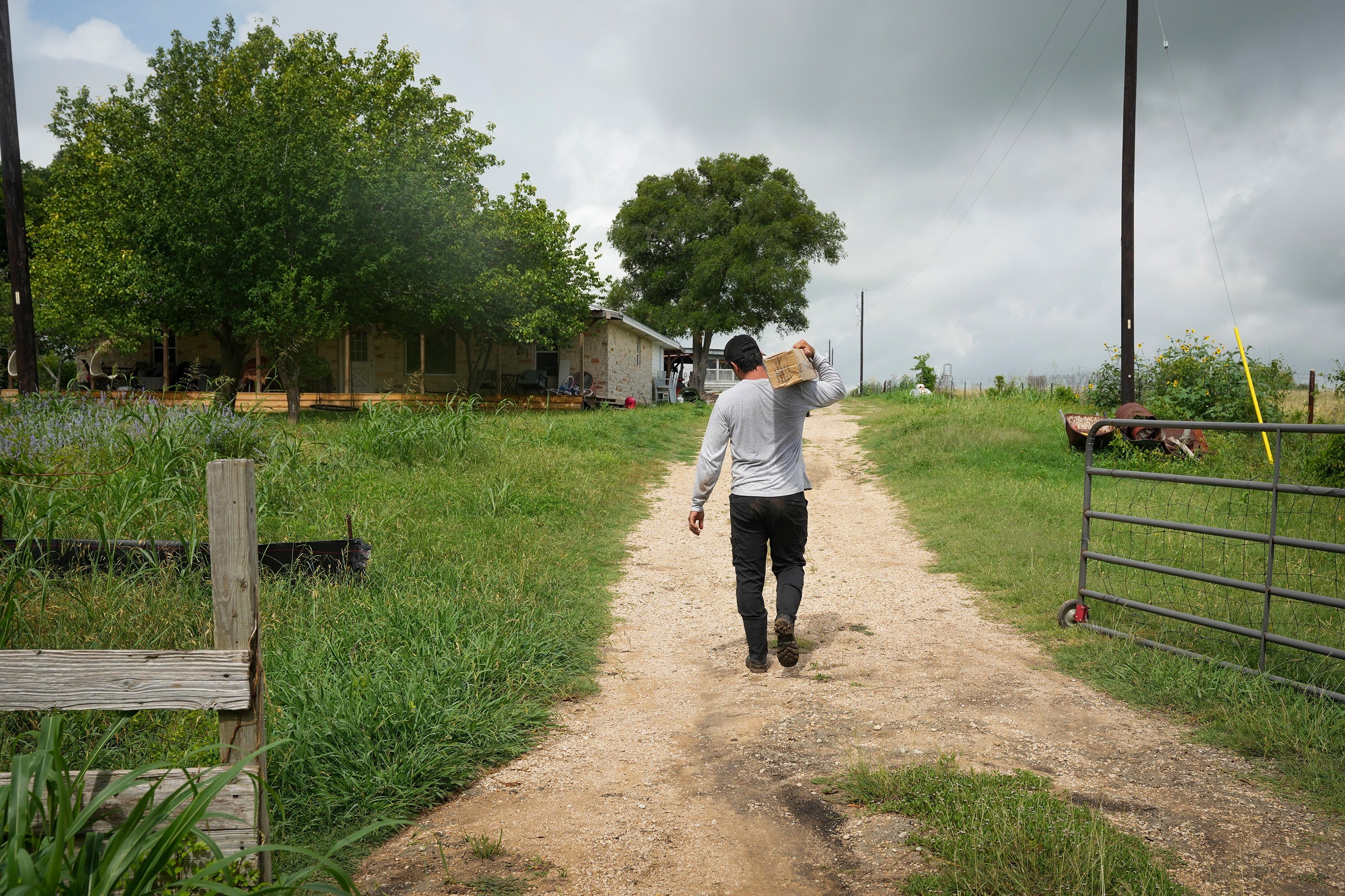 Baffling disease sending healthy, young Texas workers into kidney failure