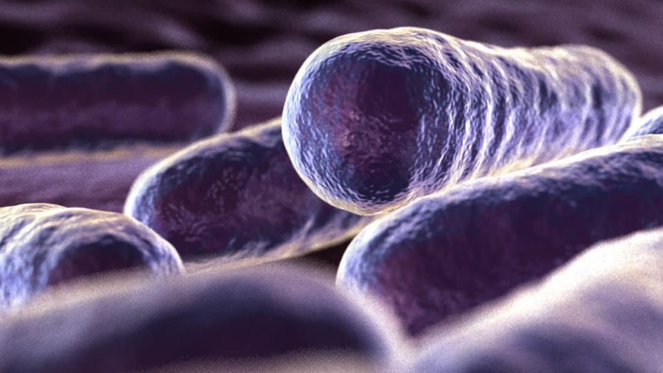 Lake Helen issues boil water advisory after E. coli detection