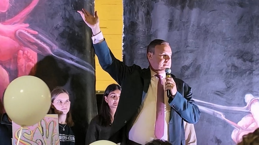 NSW One Nation leader vows to fight for abortion controls