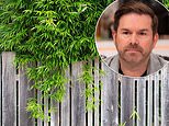 I fear the neighbour's bamboo will pull up my driveway. Can I tell him to get rid of it? Consumer lawyer DEAN DUNHAM replies