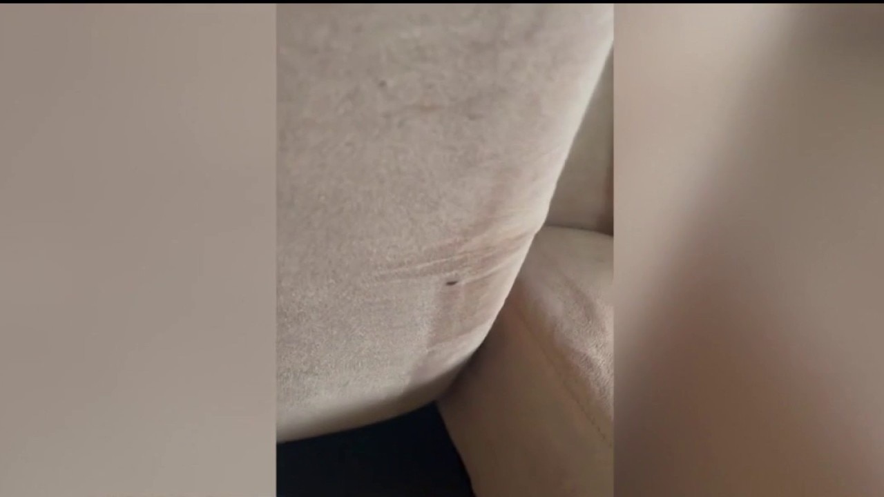 Alleged bed bug infestation at senior housing complex in Harper Woods