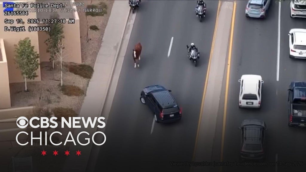 Horse leads police on chase through Santa Fe