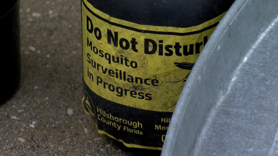 Tampa, Hillsborough put boots on the ground fighting dengue fever
