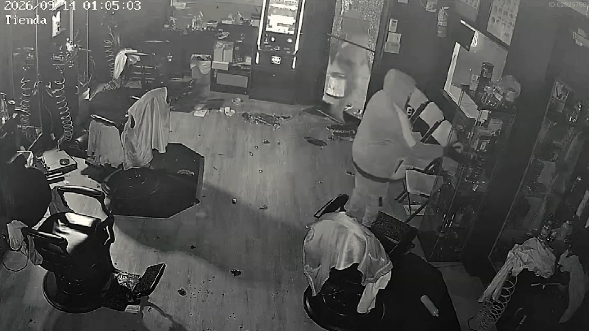 Exclusive: Video shows burglars steal thousands from Trenton barbershop: Police