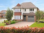 Labour's planning reforms are not enough, says Britain's biggest housebuilder