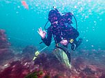 Diver explores mysterious British town beneath the sea that vanished 700 years ago and was home to just 117 people