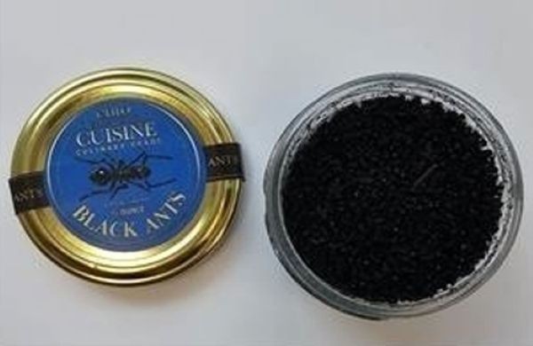 Owner of Michelin-Starred Restaurant Fined 15 Million Won for Using Ants as Food