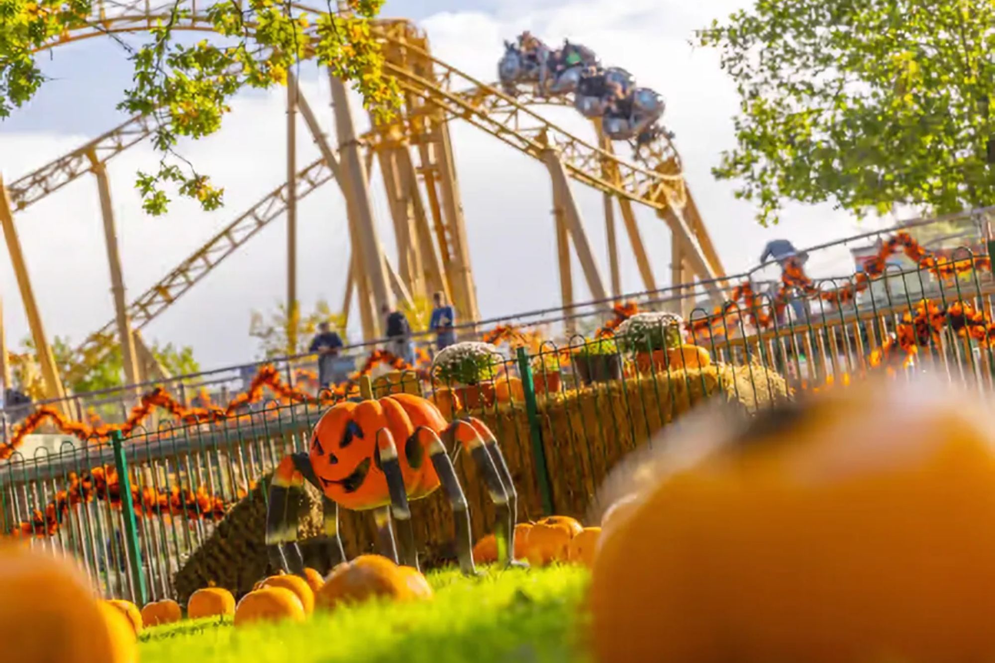 Perfect autumn attractions from £1.95 per kid – from pumpkin patches, spooky theme parks to tropical waterparks