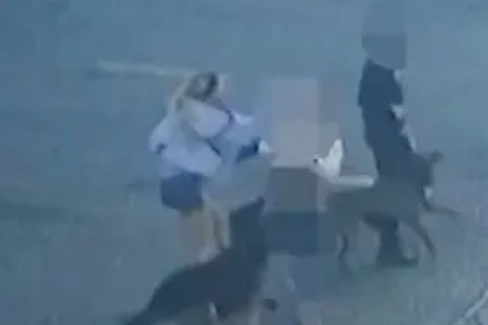 Moment dog walker grabs woman’s hair & punches her repeatedly before spitting in her face after row between their pets