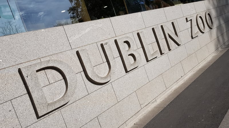 Warning over Dublin Zoo online scams offering free gifts