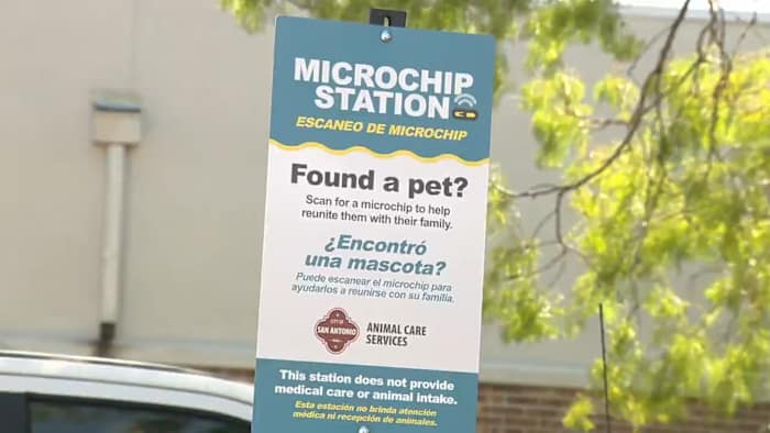 Free microchip scanners installed outside San Antonio fire stations to help reunite lost pets