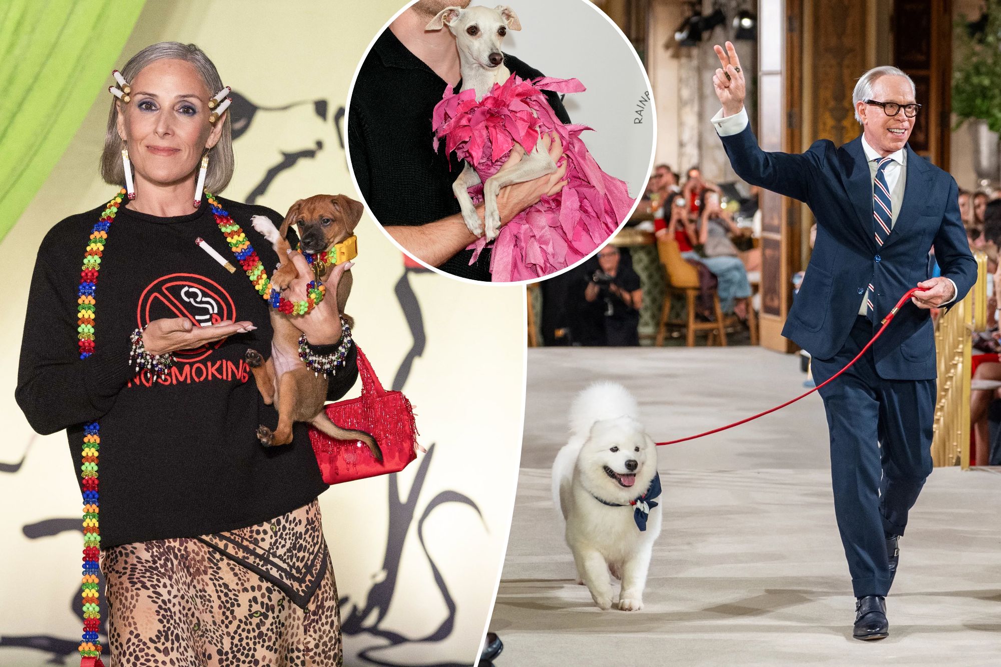 From catwalk to dogwalk: Posh pups take over the runway at NYFW