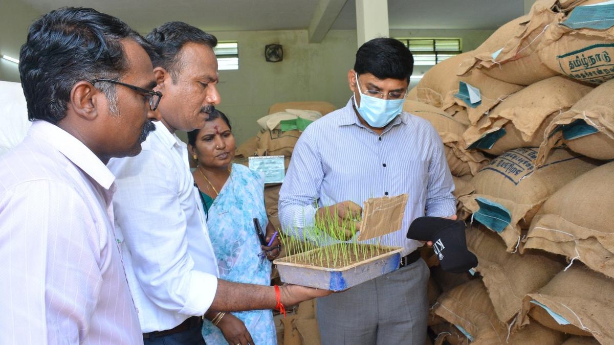Collector inspects development works in Nagapattinam
