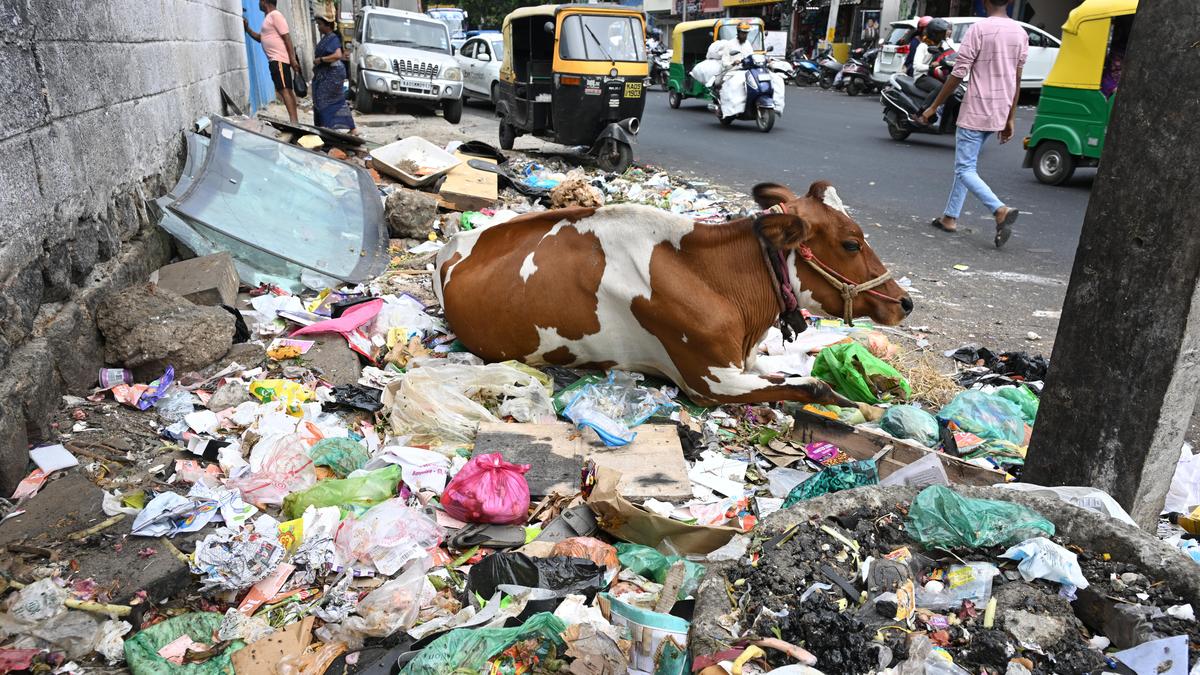 PVR INOX, Forum Mall staff fined ₹1.25 lakh for waste management violations