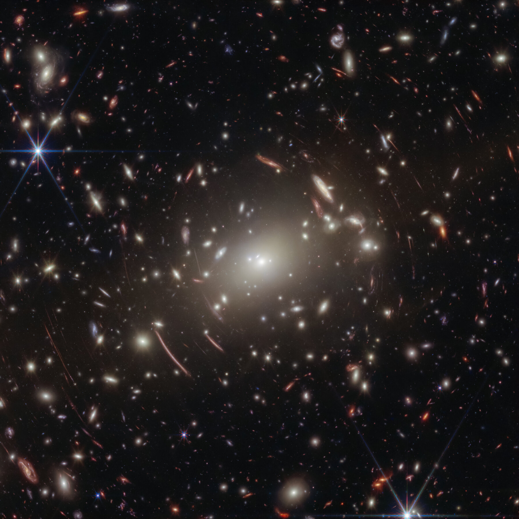 Massive Black Holes May Have Started as Little Red Dots