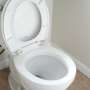 Toilet pellets may help us flush less and save water