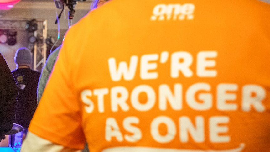 One Nation volunteer previously promoted neo-Nazi ideologies