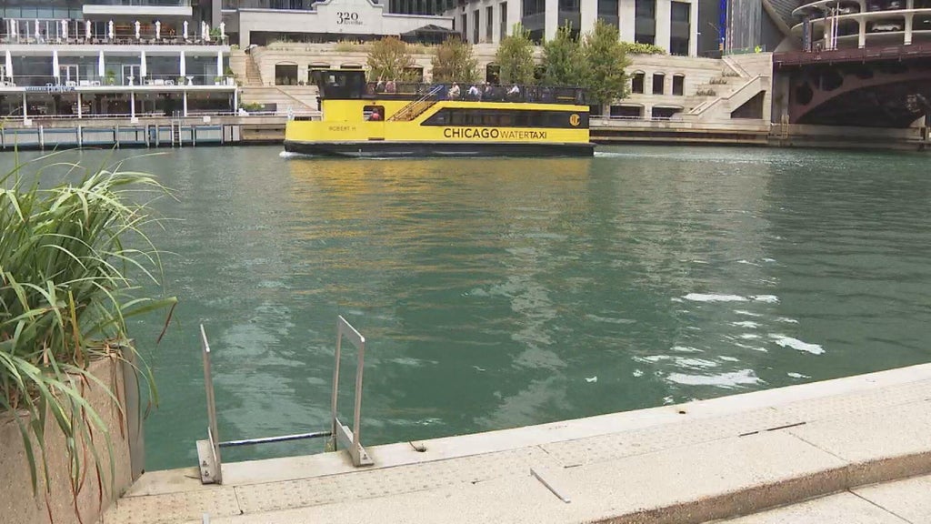 The Chicago River Swim is this weekend. How do you know the water is safe?