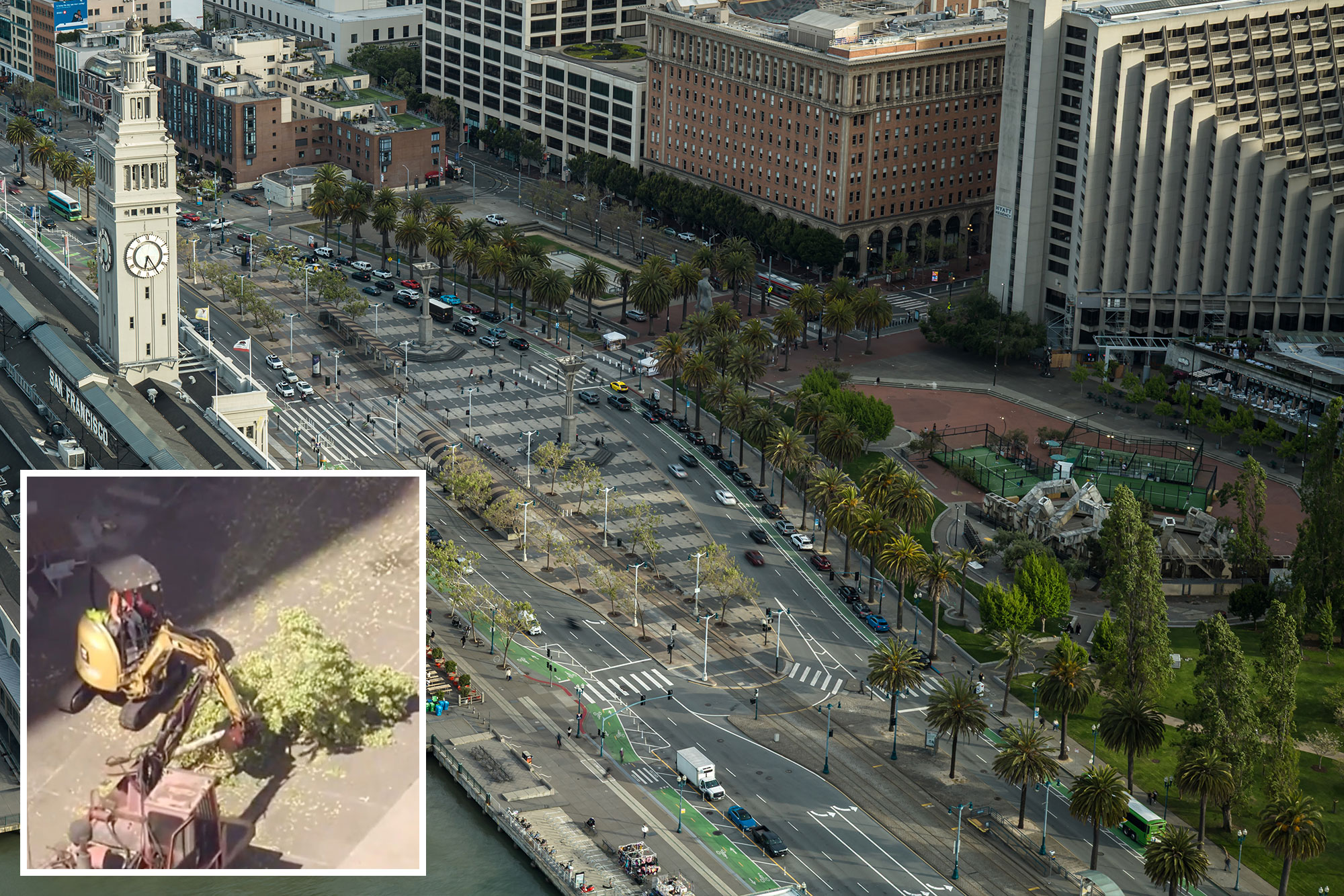 San Francisco residents fume as iconic trees are axed in $40M park revamp