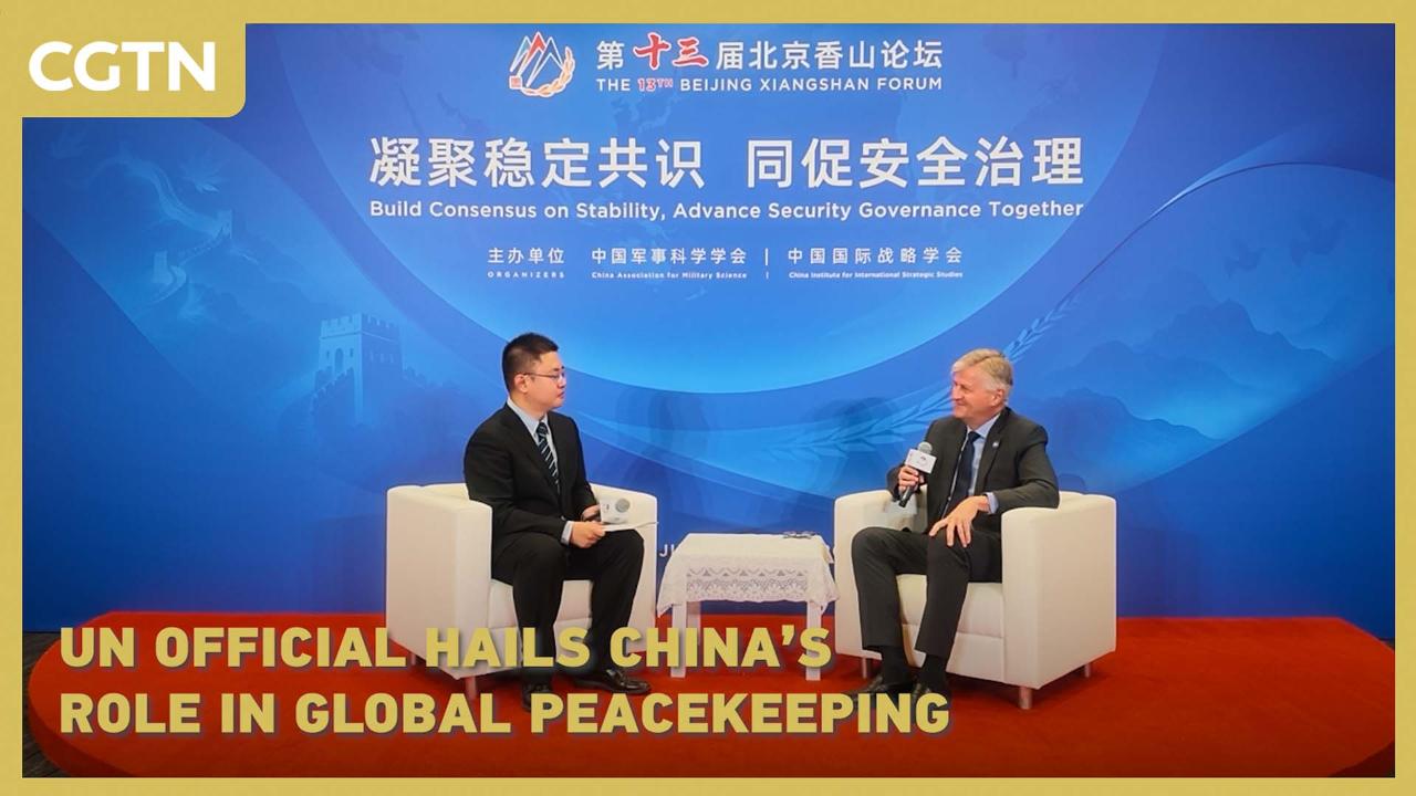 UN official hails China's role in global peacekeeping