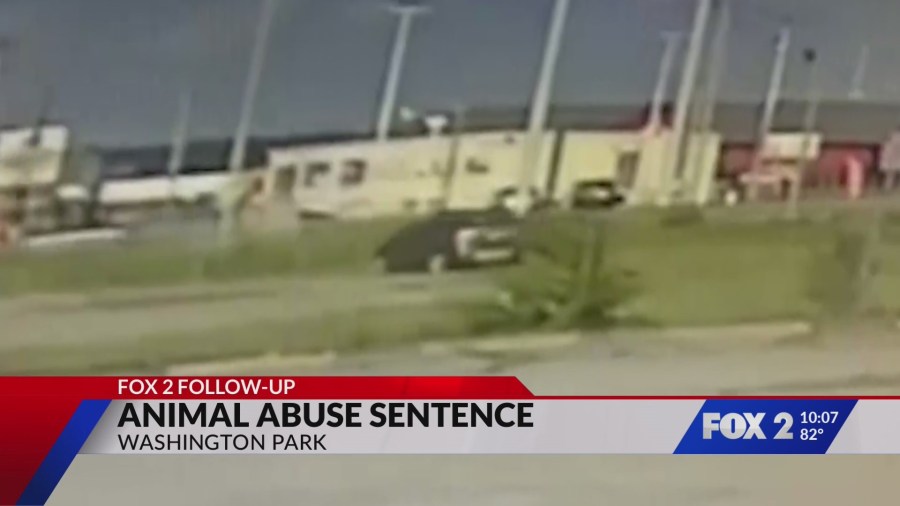 Sparta man sentenced to 10 Years for dragging dog by chain